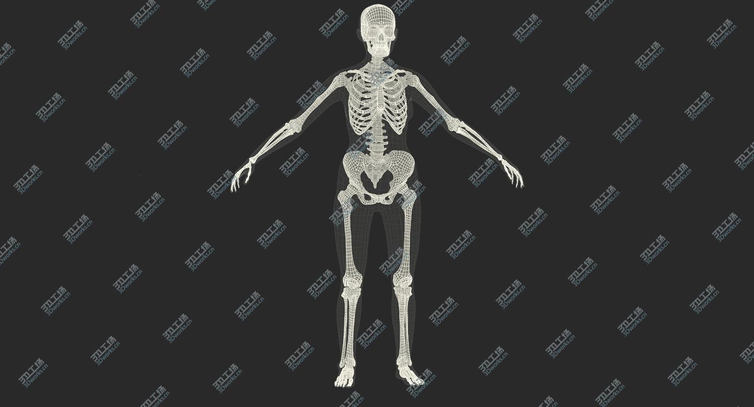 images/goods_img/202104022/Female Body with Skeleton Rigged 3D/4.jpg